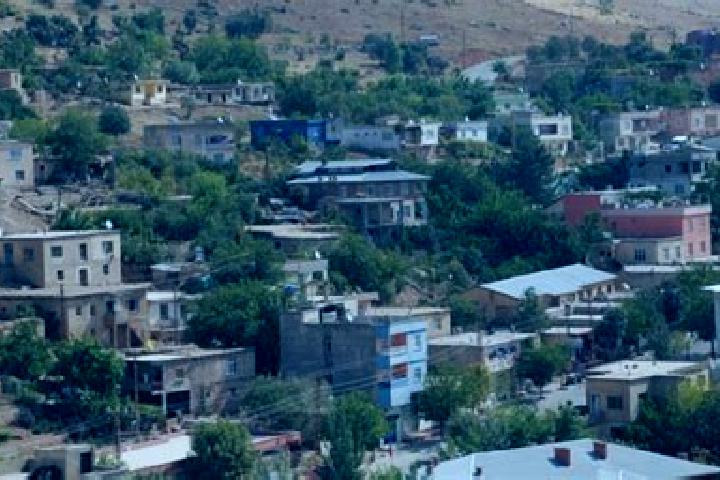 escort Siirt