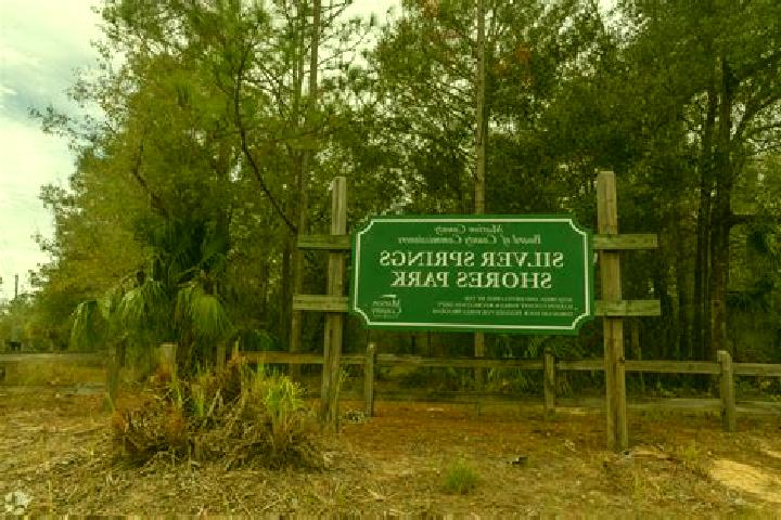 escort Silver Springs Shores