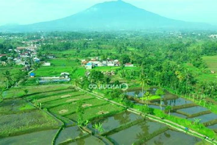 escort Sindangasih