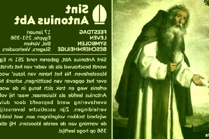 escort Sint-Antonius