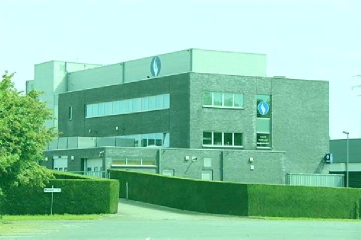 escort Sint-Lievens-Houtem