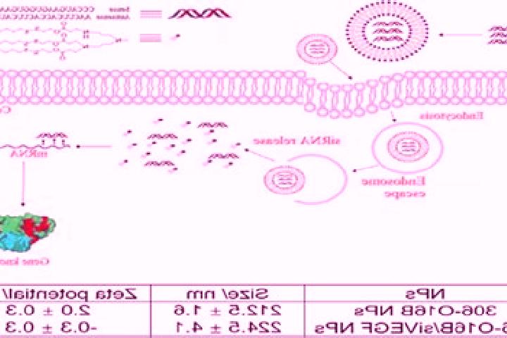 escort Sirna