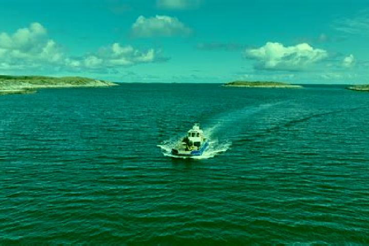 escort Skanevik