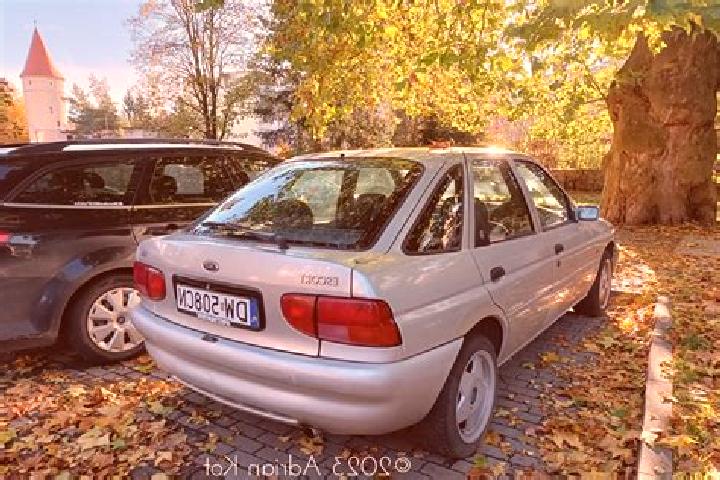 escort Skorykivka