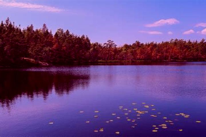 escort Sky Lake