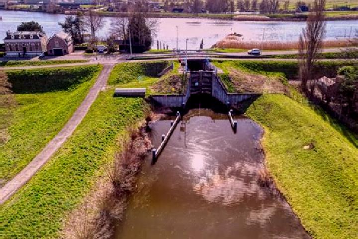 escort Sluis