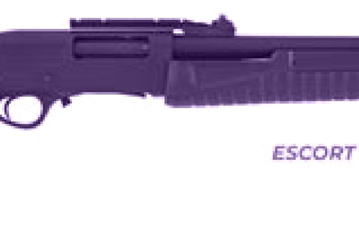 escort Slup