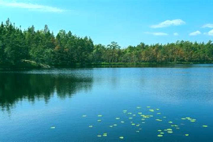escort Smiths Lake