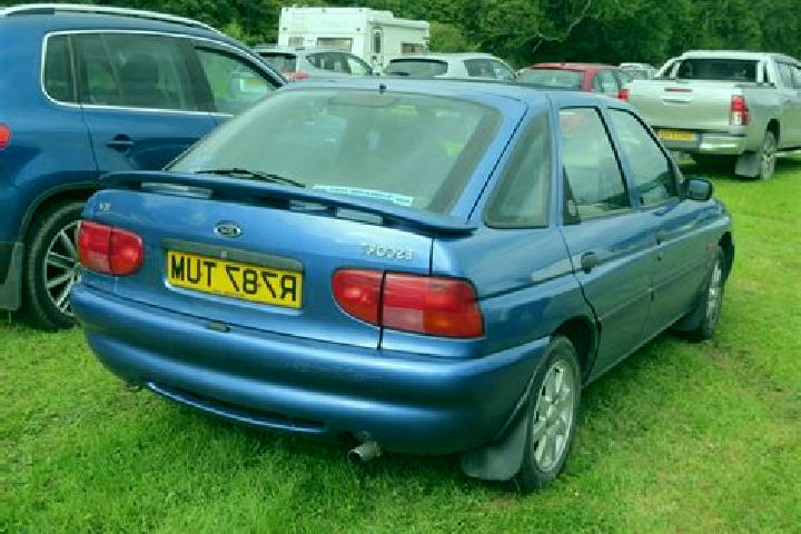 escort Snitterfield