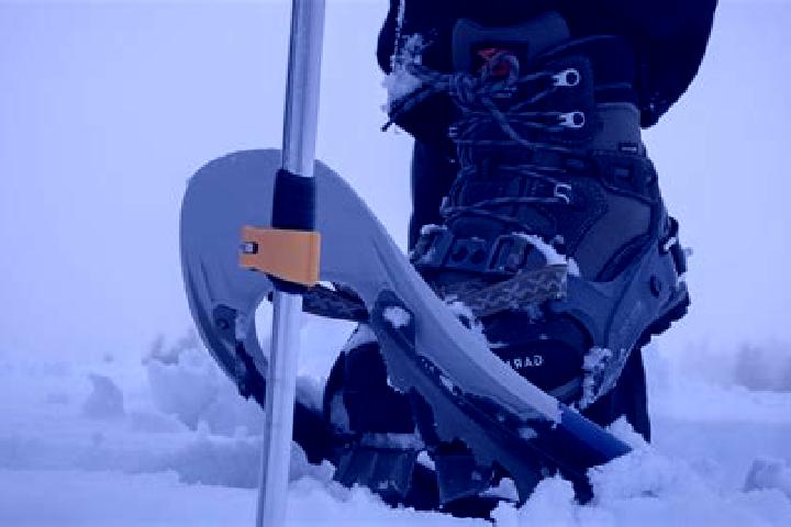 escort Snow Shoe