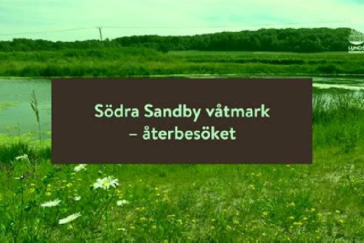 escort Soedra Sandby