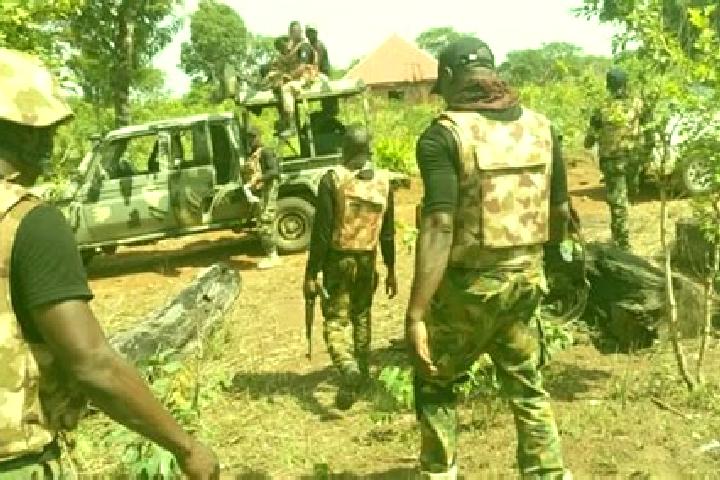 escort Sofo-Birnin-Gwari