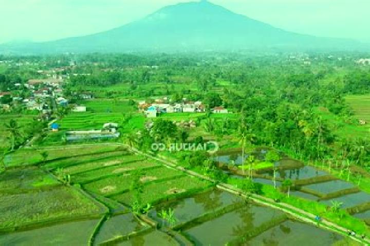 escort Solokpandan