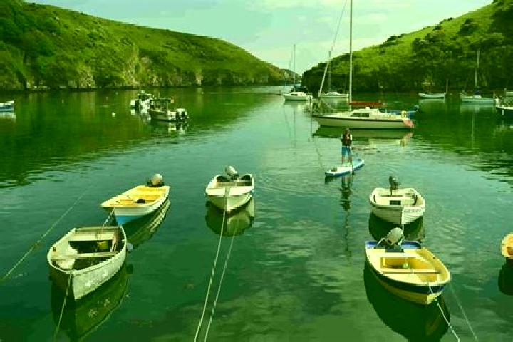 escort Solva