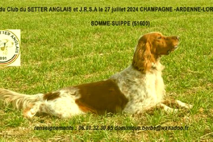 escort Somme-Suippe