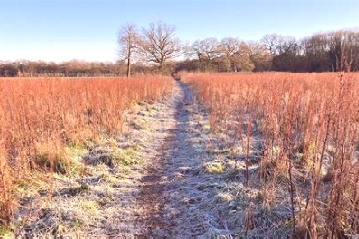 escort Sonning Common