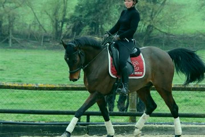 escort Sorel-Moussel