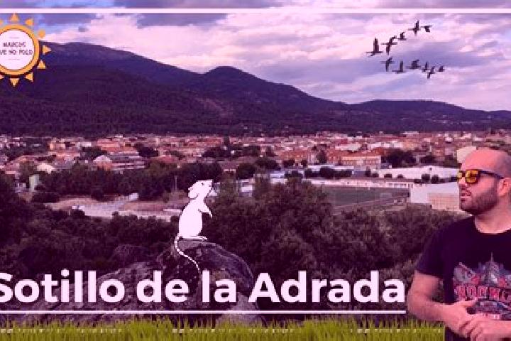 escort Sotillo de la Adrada