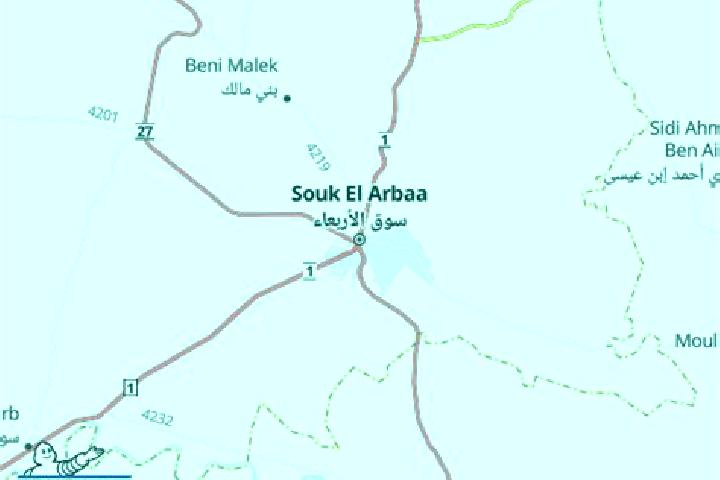 escort Souk El Arbaa