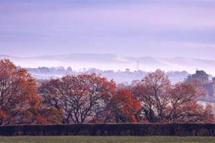 escort South Ashburnham