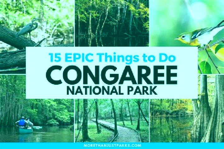 escort South Congaree
