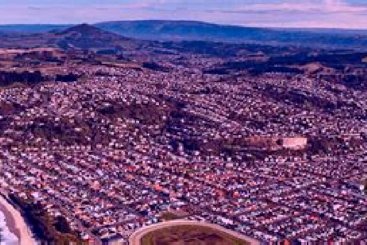escort South Dunedin