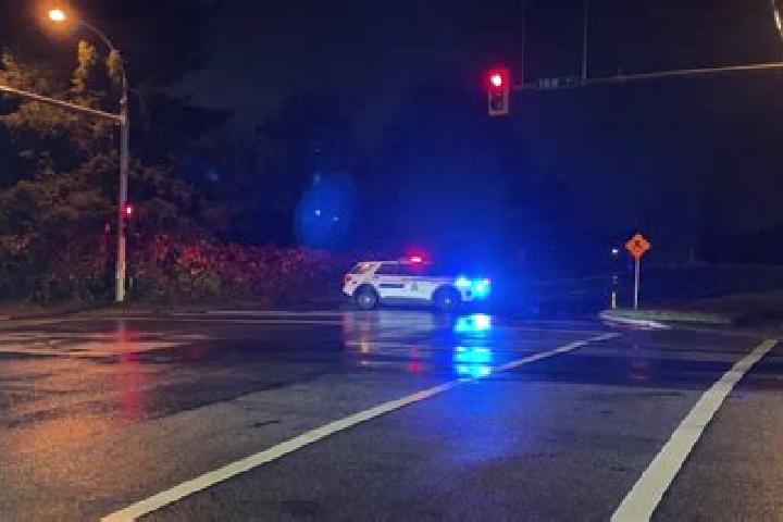 escort South Surrey