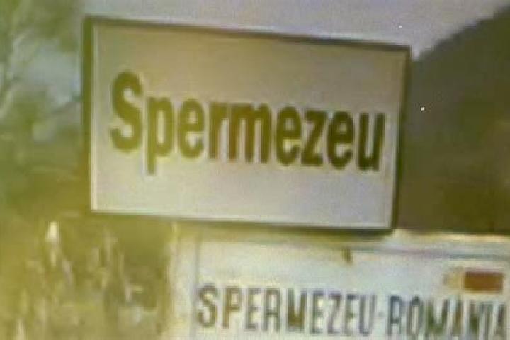 escort Spermezeu