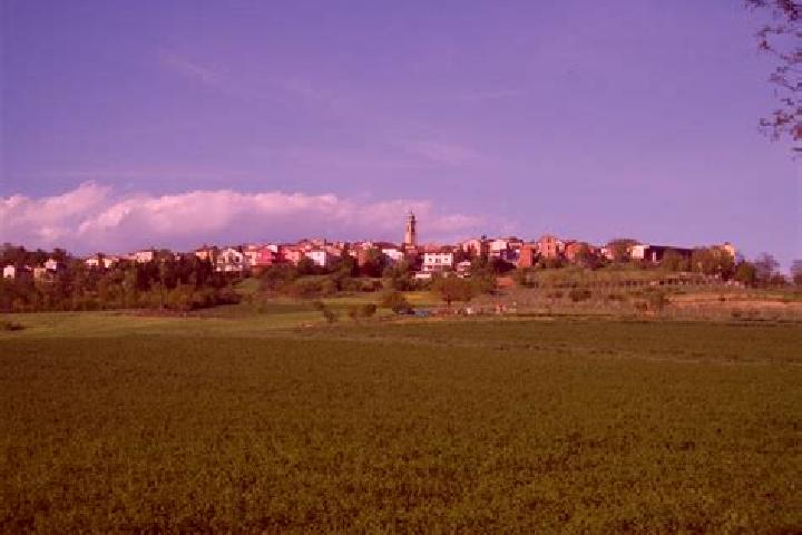 escort Spineto Scrivia