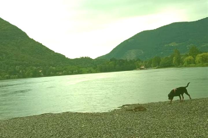 escort Spinone al Lago