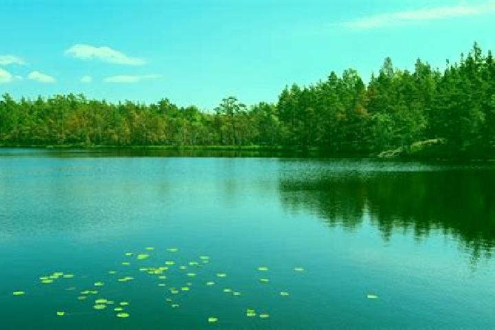 escort Spring Lake