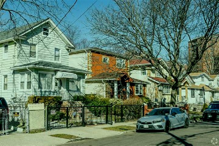 escort Springfield Gardens