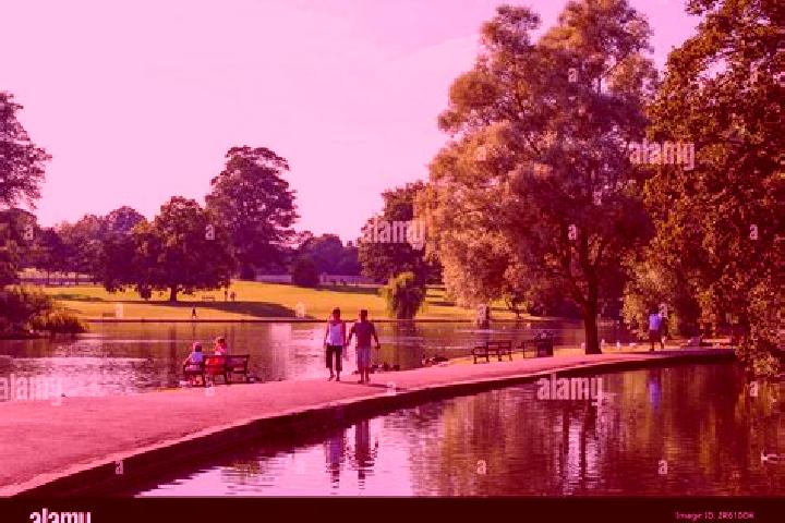 escort St Albans Park