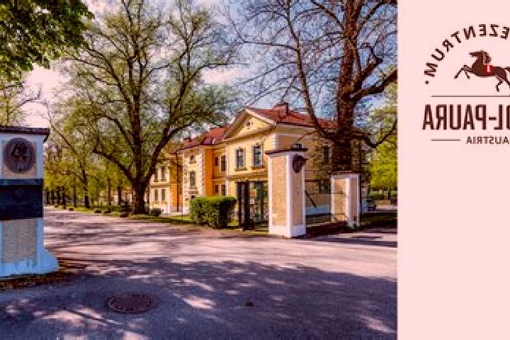 escort Stadl-Paura