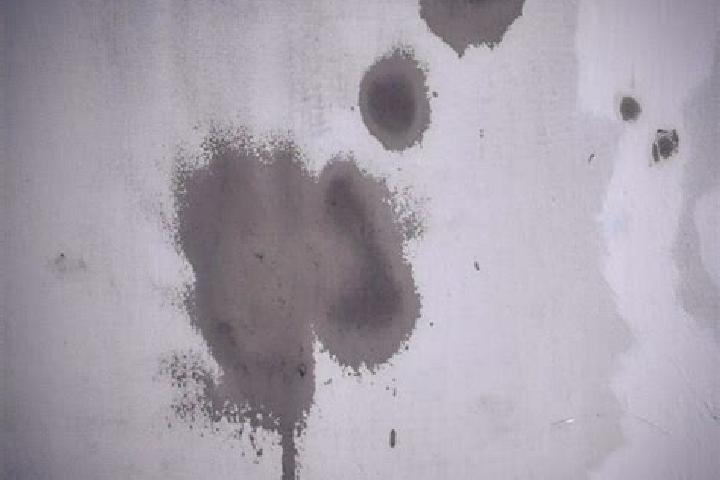 escort Stains