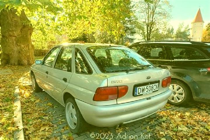 escort Stancesti