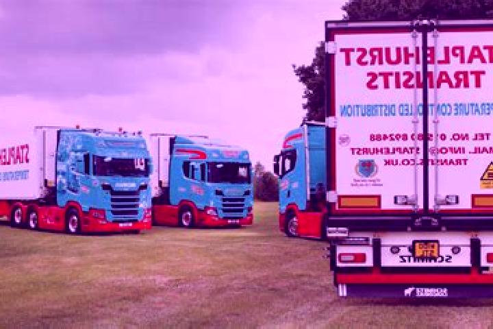 escort Staplehurst