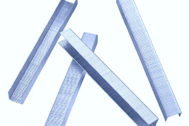 escort Staples