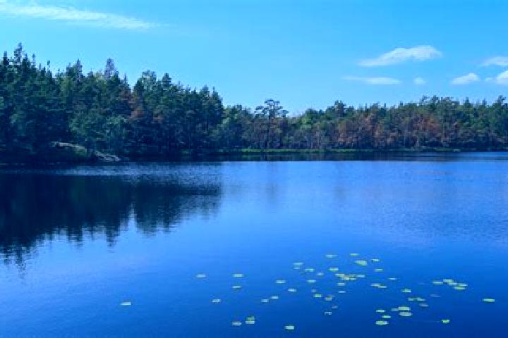 escort Star Lake