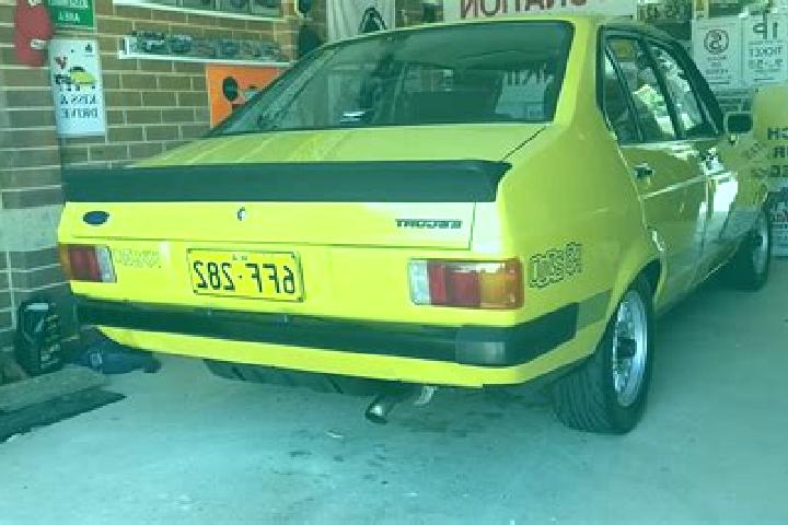 escort Startup