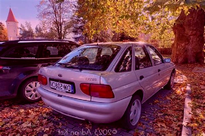 escort Statzendorf