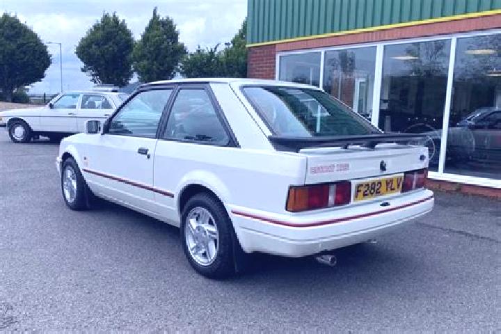 escort Steinrode