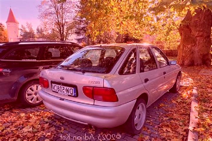 escort Steinsoultz