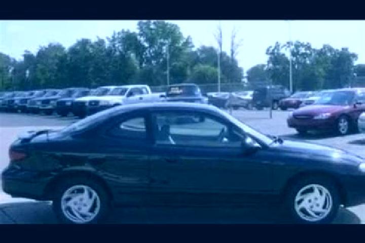 escort Sterling Heights