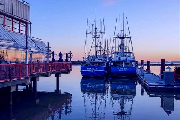 escort Steveston