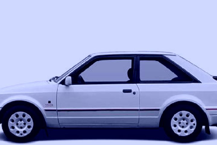 escort Stewiacke