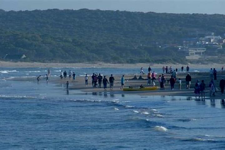escort Stilbaai