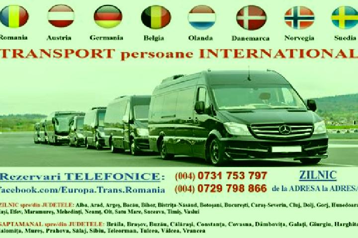 escort Stoenesti