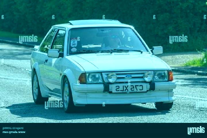 escort Stoke Golding