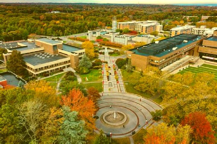 escort Stony Brook